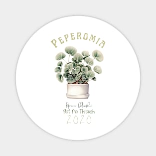 Peperomia, Botanical Illustration T-Shirt | Plant Lover Tee Magnet